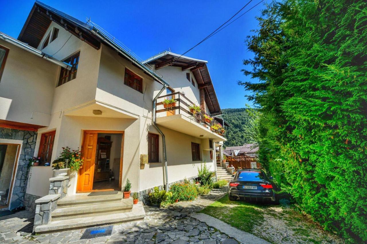 Amandra Chalet سِنايا المظهر الخارجي الصورة