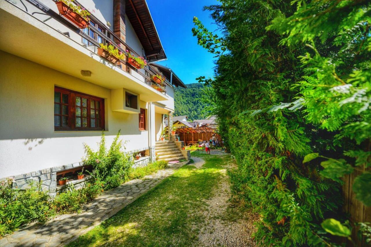 Amandra Chalet سِنايا المظهر الخارجي الصورة