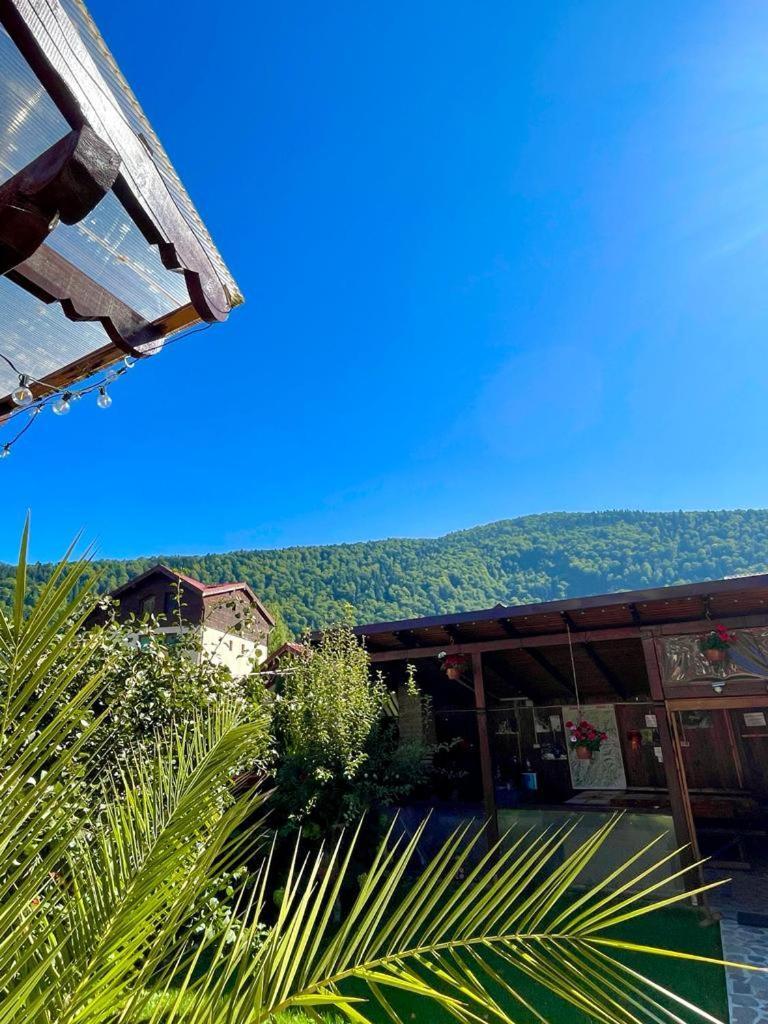 Amandra Chalet سِنايا المظهر الخارجي الصورة